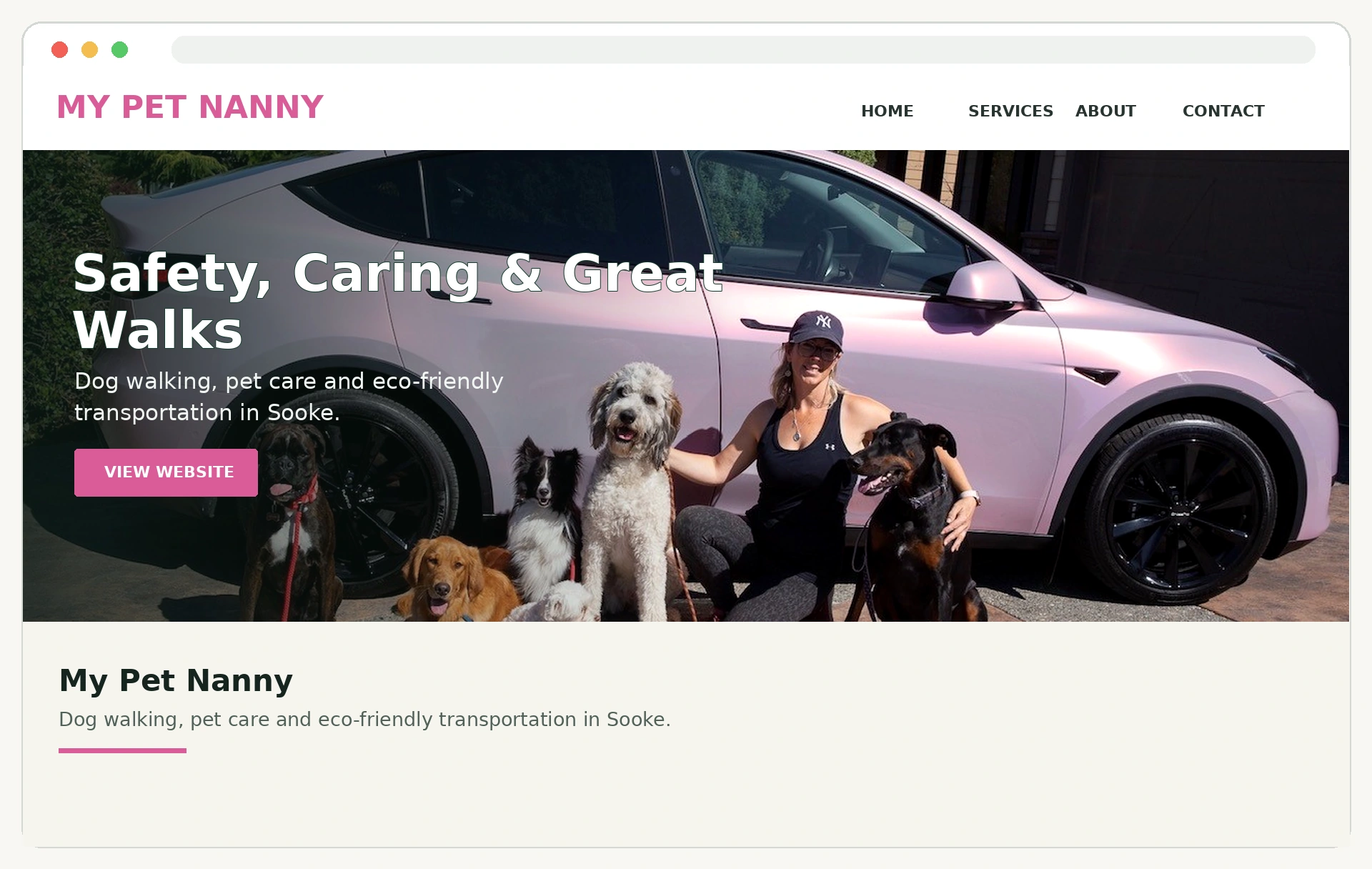 Preview of the My Pet Nanny website
